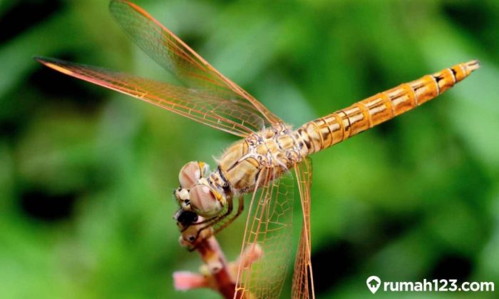 POLA BBFS TOTO MACAU ABADI SEPANJANG MASA TERBARU || SERING JP||PART 2 ...